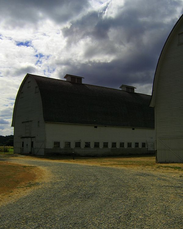 nisqually barns